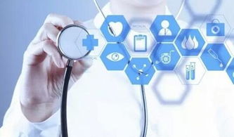 呼市推动互联网政务服务实现企业全覆盖，助力经济高质量发展